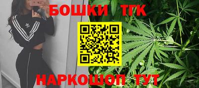 индика Усть-Илимск