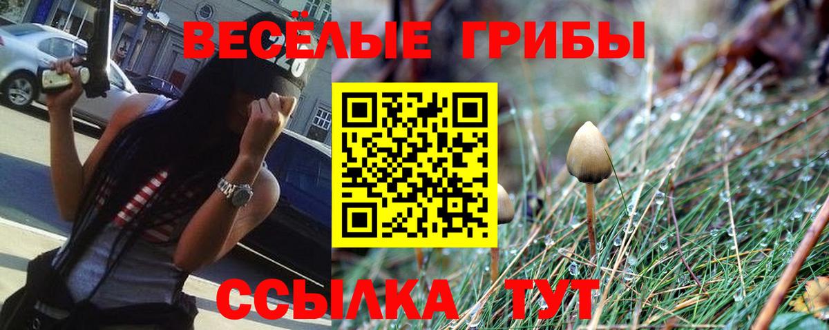 Галлюциногенные грибы GOLDEN TEACHER Батайск