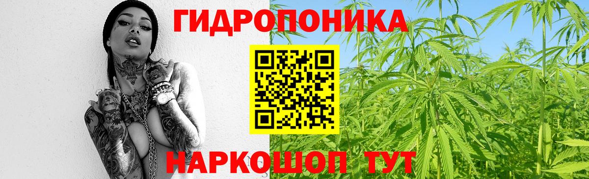 Каннабис OG Kush Батайск